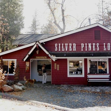 Silver Pines Lodge Idyllwild Exterior photo