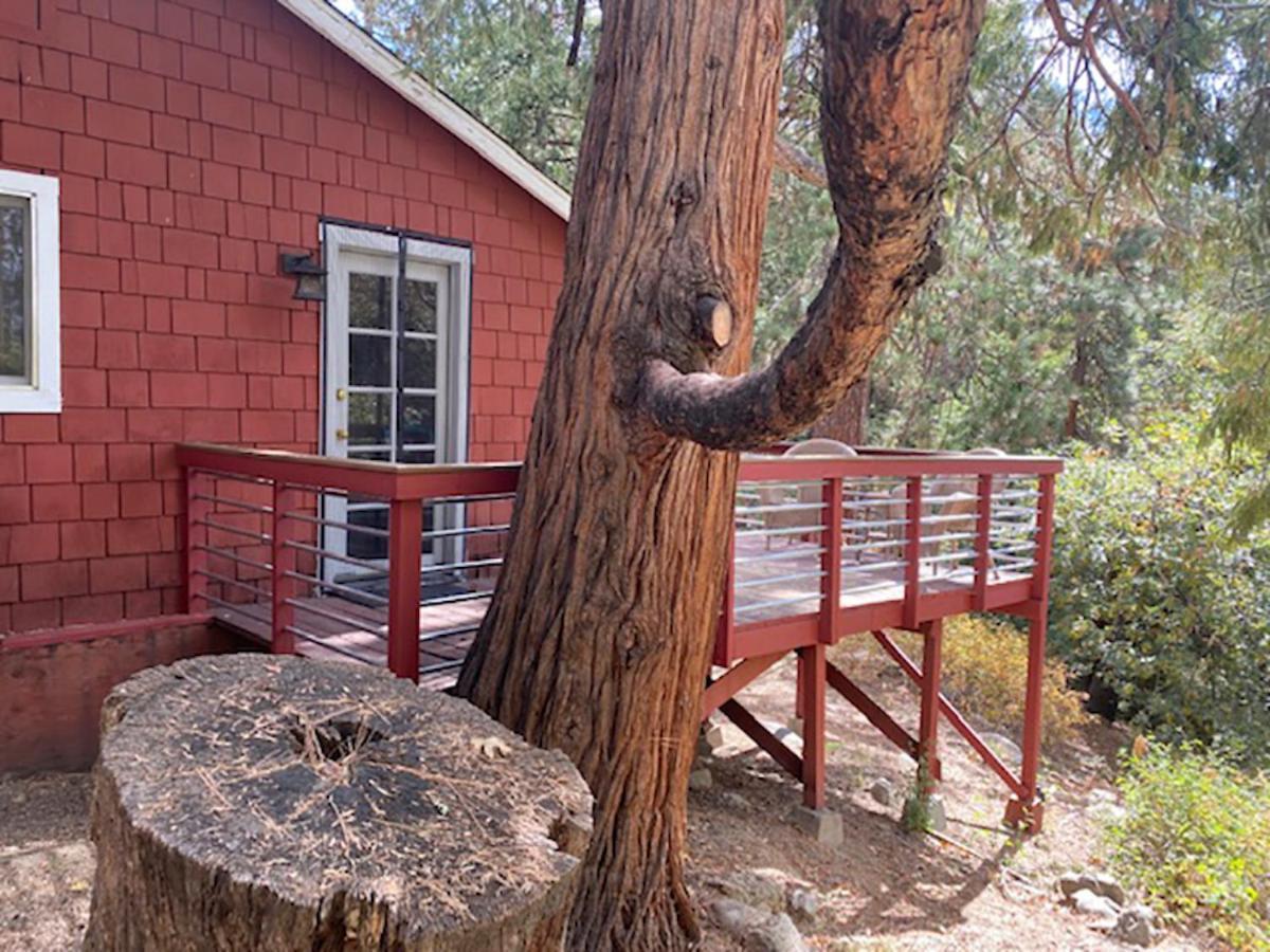 Silver Pines Lodge Idyllwild Exterior photo