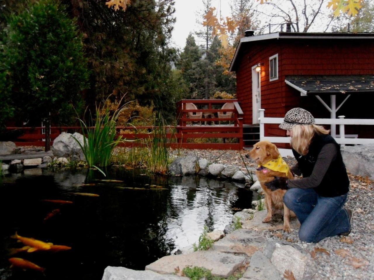 Silver Pines Lodge Idyllwild Exterior photo